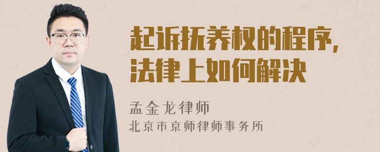 起诉抚养权的程序，法律上如何解决