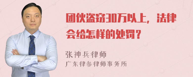 团伙盗窃30万以上，法律会给怎样的处罚？