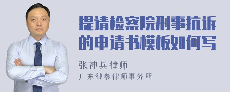 提请检察院刑事抗诉的申请书模板如何写