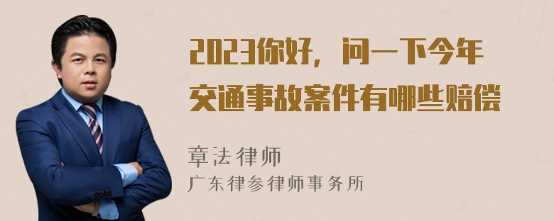 2023你好，问一下今年交通事故案件有哪些赔偿