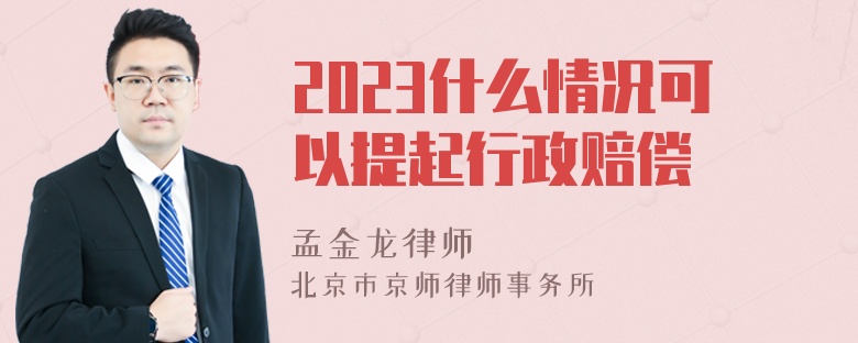 2023什么情况可以提起行政赔偿