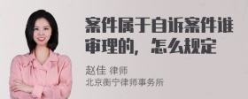 案件属于自诉案件谁审理的，怎么规定