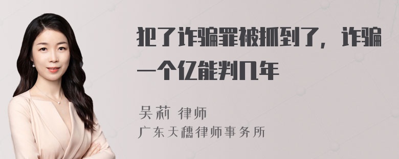 犯了诈骗罪被抓到了，诈骗一个亿能判几年