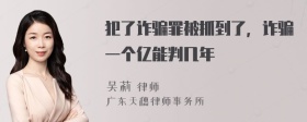 犯了诈骗罪被抓到了，诈骗一个亿能判几年