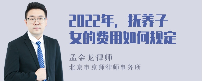 2022年，抚养子女的费用如何规定