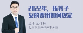 2022年，抚养子女的费用如何规定