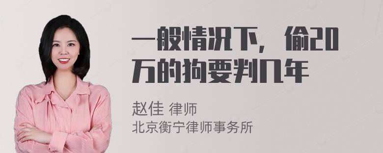 一般情况下，偷20万的狗要判几年