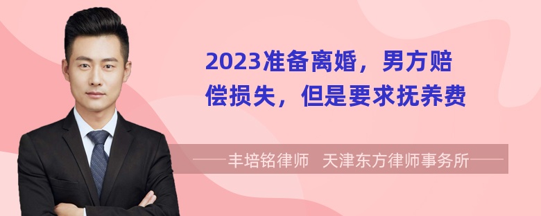 2023准备离婚，男方赔偿损失，但是要求抚养费