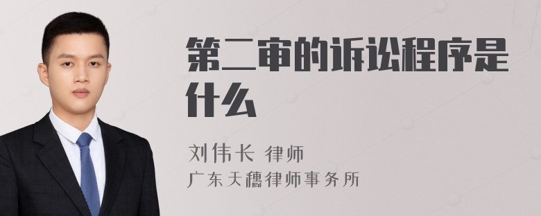 第二审的诉讼程序是什么