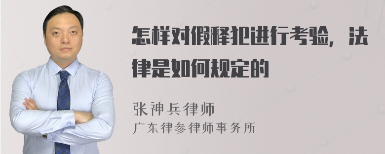 怎样对假释犯进行考验，法律是如何规定的