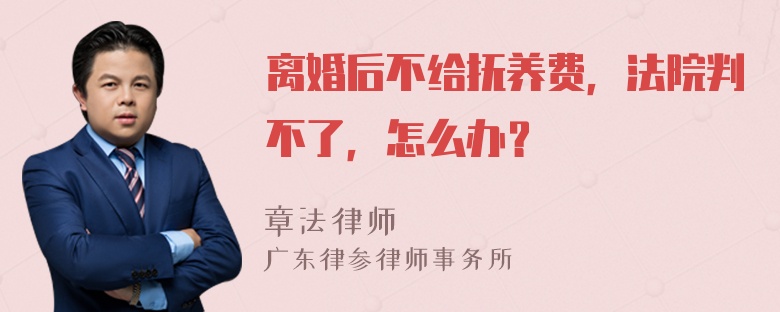 离婚后不给抚养费，法院判不了，怎么办？