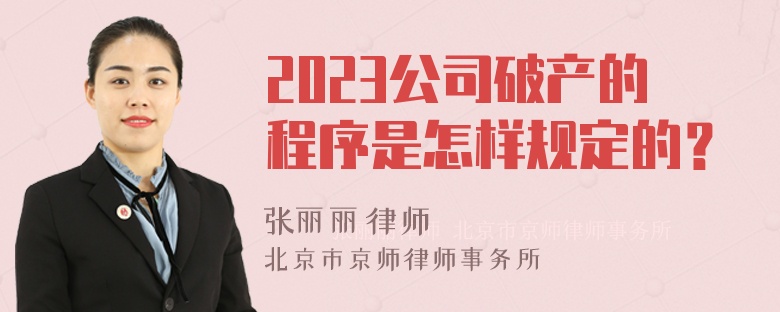 2023公司破产的程序是怎样规定的？