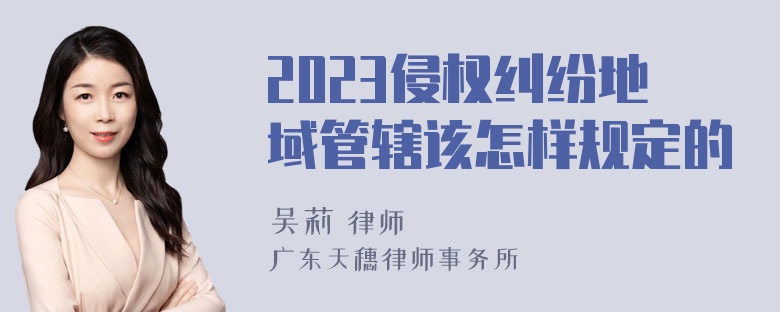 2023侵权纠纷地域管辖该怎样规定的