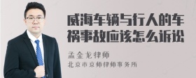 威海车辆与行人的车祸事故应该怎么诉讼
