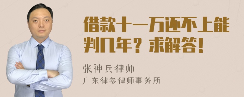 借款十一万还不上能判几年？求解答！