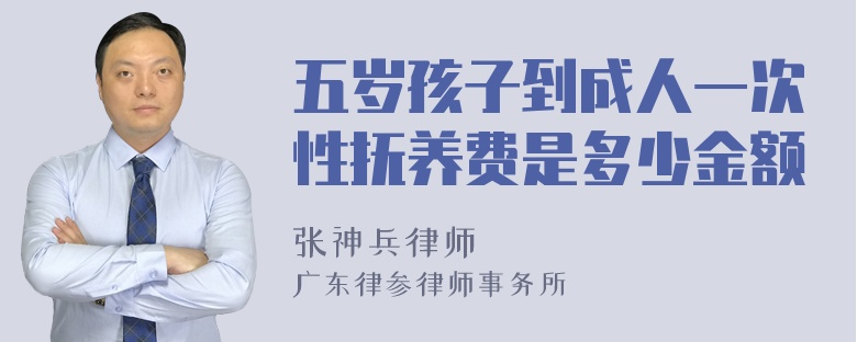 五岁孩子到成人一次性抚养费是多少金额