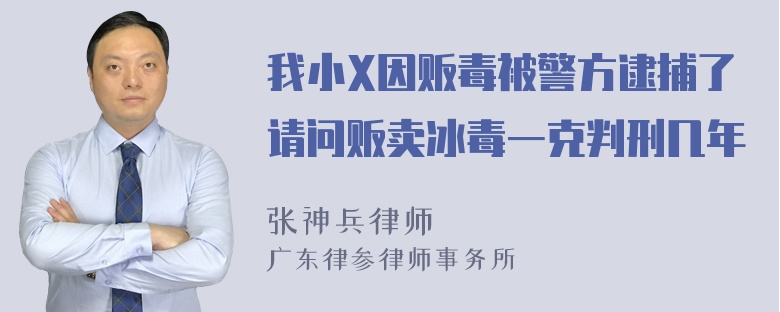 我小X因贩毒被警方逮捕了请问贩卖冰毒一克判刑几年