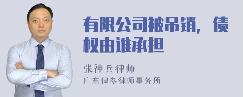 有限公司被吊销，债权由谁承担