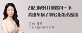 2023你好我想咨询一下我出车祸了算轻伤怎么赔偿