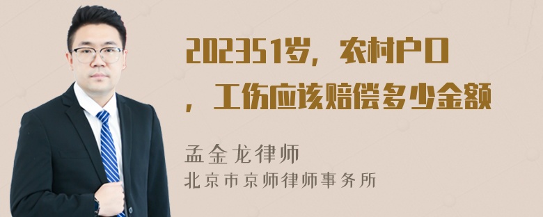 202351岁，农村户口，工伤应该赔偿多少金额