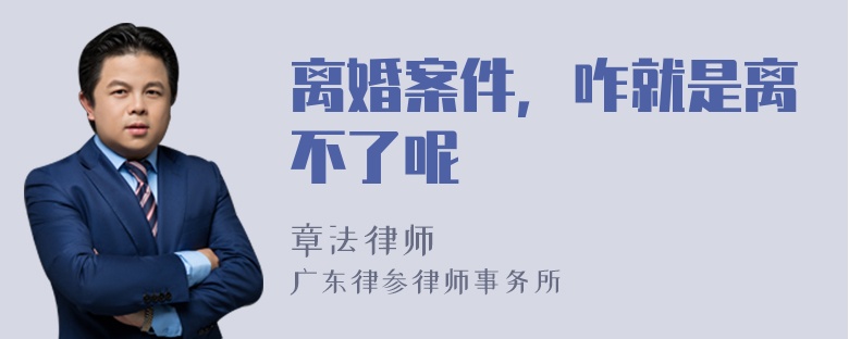 离婚案件，咋就是离不了呢