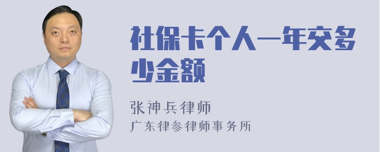 社保卡个人一年交多少金额