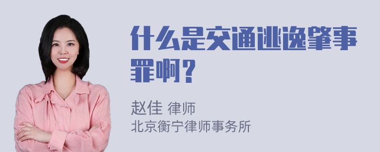 什么是交通逃逸肇事罪啊？