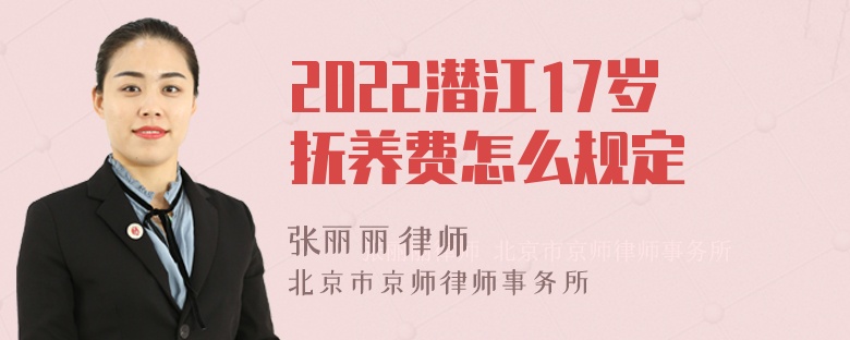 2022潜江17岁抚养费怎么规定