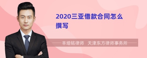 2020三亚借款合同怎么撰写