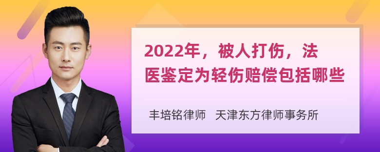 2022年，被人打伤，法医鉴定为轻伤赔偿包括哪些