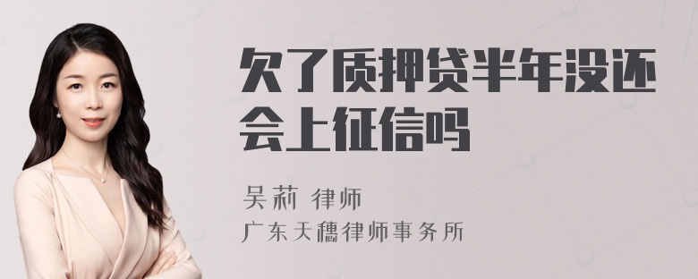 欠了质押贷半年没还会上征信吗