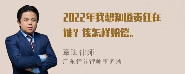 2022年我想知道责任在谁？该怎样赔偿。