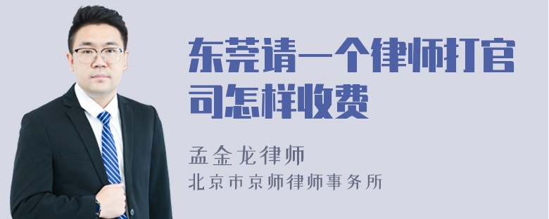 东莞请一个律师打官司怎样收费