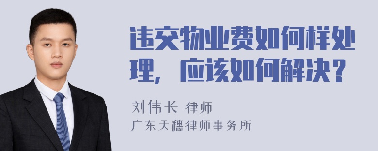 违交物业费如何样处理，应该如何解决？