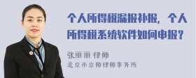 个人所得税漏报补报，个人所得税系统软件如何申报？