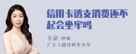 信用卡透支消费还不起会坐牢吗