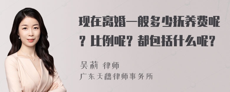 现在离婚一般多少抚养费呢？比例呢？都包括什么呢？