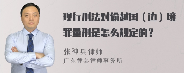 现行刑法对偷越国（边）境罪量刑是怎么规定的？