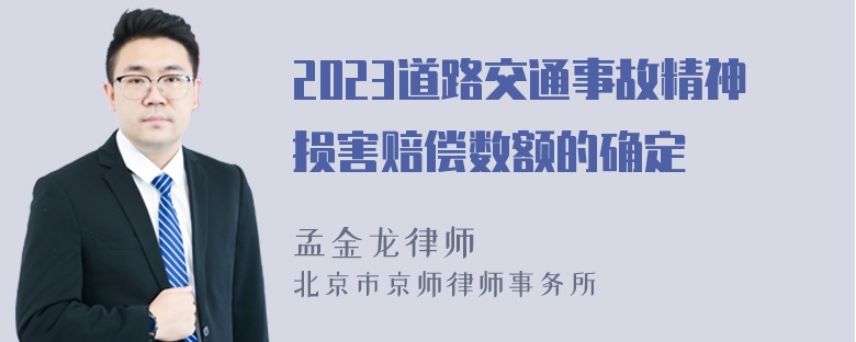 2023道路交通事故精神损害赔偿数额的确定