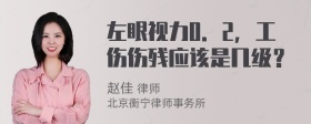 左眼视力0．2，工伤伤残应该是几级？