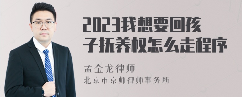 2023我想要回孩子抚养权怎么走程序