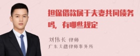 担保借款属于夫妻共同债务吗，有哪些规定