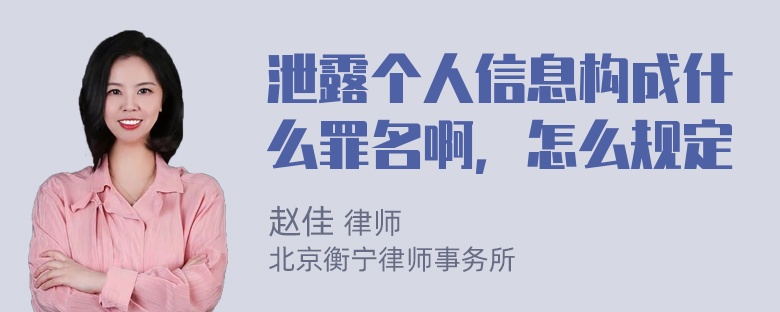 泄露个人信息构成什么罪名啊，怎么规定