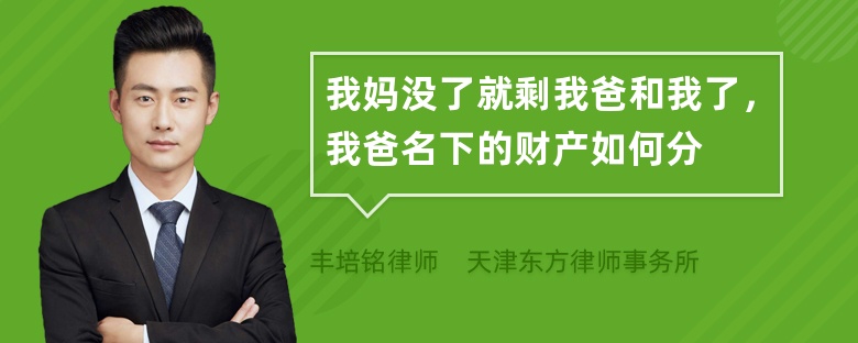 我妈没了就剩我爸和我了，我爸名下的财产如何分