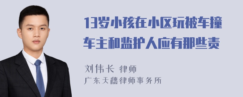 13岁小孩在小区玩被车撞车主和监护人应有那些责