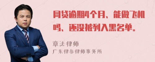 网贷逾期4个月、能做飞机吗、还没被列入黑名单。