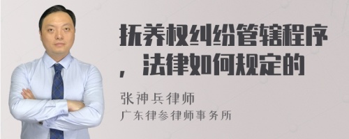 抚养权纠纷管辖程序，法律如何规定的