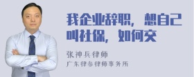 我企业辞职，想自己叫社保，如何交