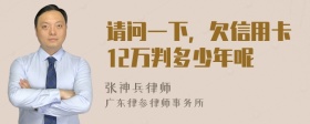 请问一下，欠信用卡12万判多少年呢