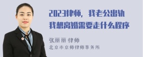 2023律师，我老公出轨我想离婚需要走什么程序